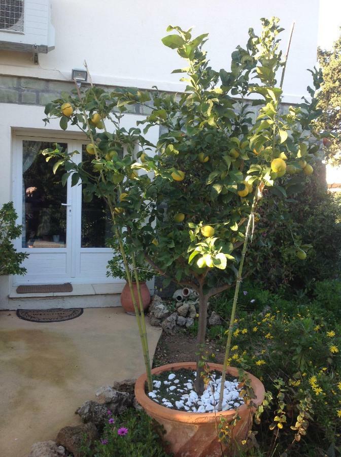 Rez De Villa Pebrier Frejus Ngoại thất bức ảnh